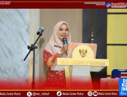 Pelatihan Peningkatan Kapasitas Pendidik TK Se-Rohul, *Bunda Paud Yeni : Kembangkan Karakter Anak Melalui Brain GYM dan Mindset Power*