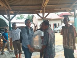 PT RSM Tebur 8.000 Benih Ikan di Sungai Dua, Dorong Pemulihan Ekosistem dan Penguatan Sosial