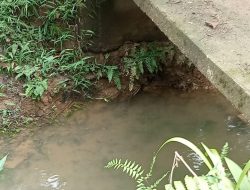 Proyek Fiktif di Desa Kandis? Dana Desa Cair, Jembatan Tak Kunjung Dikerjakan