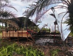Harisal Aulia Meminta Kepada APH,, ” SEGERA TANGKAP Dan PROSES Otak Intelektual Pembakaran Barak PT Nusantara Sawit Majuma