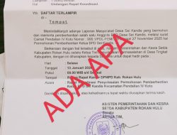 Laporan Korupsi Kades dan Ketua BPD Dibalas dengan Proses Hukum, Aktivis Anti Korupsi Bersuara