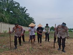 Sinergi Polri-Petani di Rokan Hulu, Polsek Ujungbatu Kembali Tanam Jagung 1 Hektare di Dusun RK Harapan*