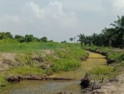 Dugaan Penanaman Sawit di Bantaran Sungai Buluh, Warga Minta DLH dan Kapolda Riau Audit PT SHL