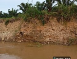 Ramlan Lubis Soroti Dugaan Pemanfaatan DAS oleh PT Andika di Desa Sontang, Tokoh Masyarakat Keluhkan Program CSR