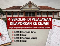 4 Sekolah di Pelalawan Dilaporkan ke Kejari, Dalam Kasus Dugaan Penyimpangan Dana BOS