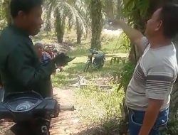 Sengketa Lahan di Tambusai Timur Memanas: Parlin Hasibuan Bersitegang dengan Pria yang Mengaku Aripin Marpaung