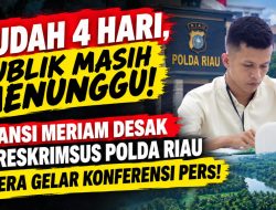 PUBLIK BERTANYA-TANYA! 4 Hari Usai Turun Lapang, Hasil Pemeriksaan DAS PT Andika Permata Sawit Lestari Belum Jelas*